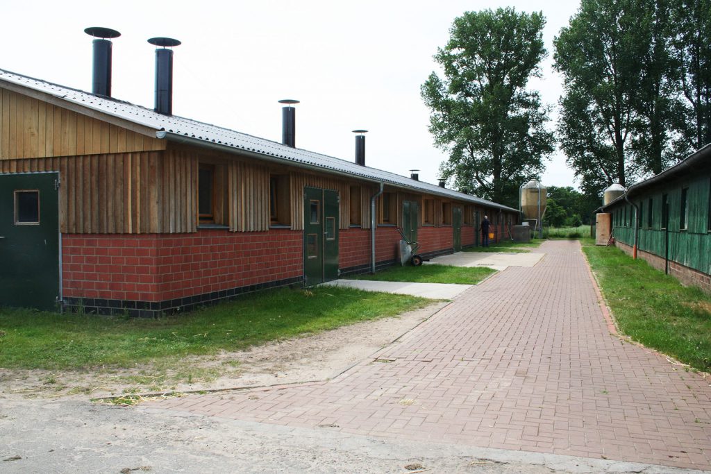 Stallgebaeude